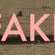 Illustration for article titled 6 More Fake Images From Our Garbage Internet